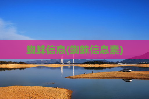 蜘蛛信息(蜘蛛信息素)