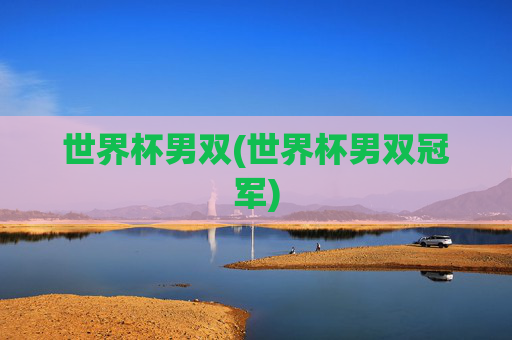 世界杯男双(世界杯男双冠军)