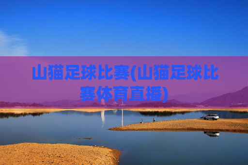 山猫足球比赛(山猫足球比赛体育直播)