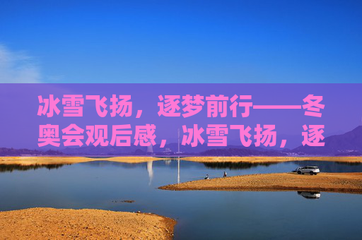 冰雪飞扬,逐梦前行——冬奥会观后感,冰雪飞扬,逐梦前行——冬奥会观后感