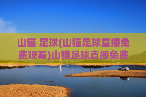 山猫 足球(山猫足球直播免费观看)山猫足球直播免费观看