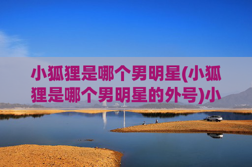 小狐狸是哪个男明星(小狐狸是哪个男明星的外号)小狐狸是哪个男明星的外号?