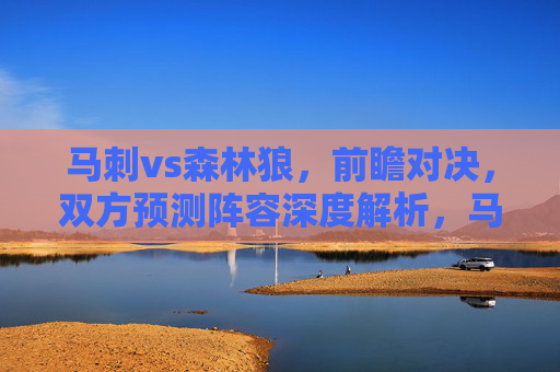 马刺vs森林狼，前瞻对决，双方预测阵容深度解析，马刺vs森林狼前瞻，双方预测阵容深度解析