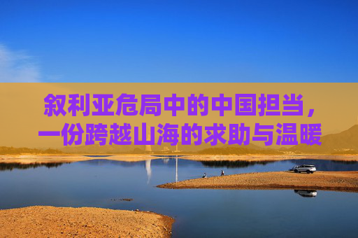 叙利亚危局中的中国担当,一份跨越山海的求助与温暖回应