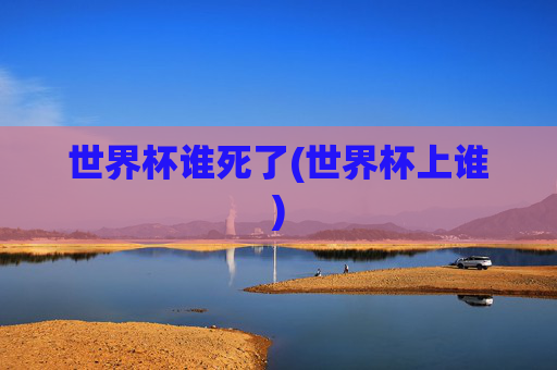 世界杯谁死了(世界杯上谁)