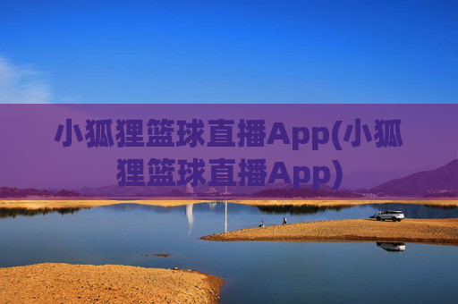 小狐狸篮球直播App(小狐狸篮球直播App)