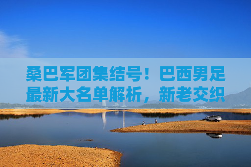 桑巴军团集结号！巴西男足最新大名单解析，新老交织剑指荣耀，桑巴军团集结号！最新大名单新老交织剑指荣耀