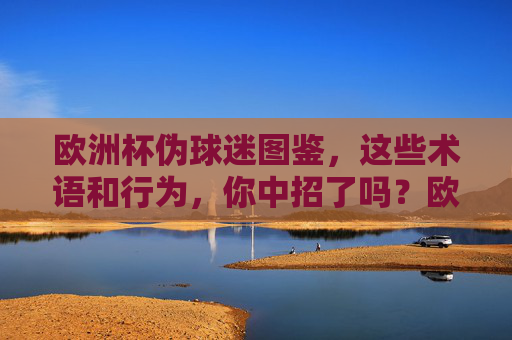 欧洲杯伪球迷图鉴,这些术语和行为,你中招了吗?欧洲杯伪球迷图鉴,这些术语与行为,你中招了吗?