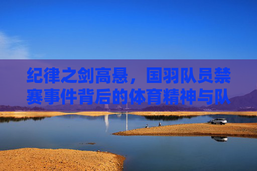 纪律之剑高悬，国羽队员禁赛事件背后的体育精神与队伍坚守，纪律之剑高悬，国羽禁赛事件中的体育精神与队伍坚守
