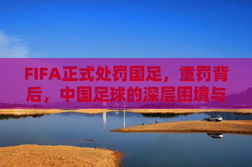 FIFA正式处罚国足,重罚背后,中国足球的深层困境与反思,FIFA重罚国足,中国足球的深层困境与反思