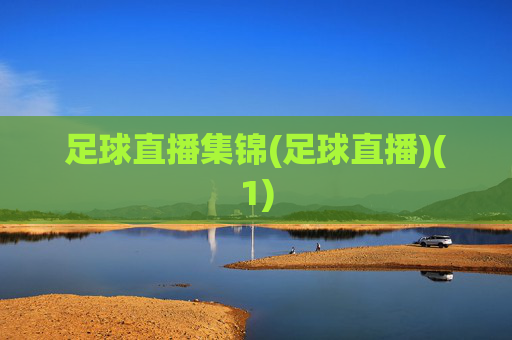 足球直播集锦(足球直播)(1)