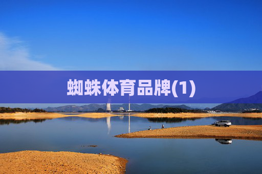 蜘蛛体育品牌(1)