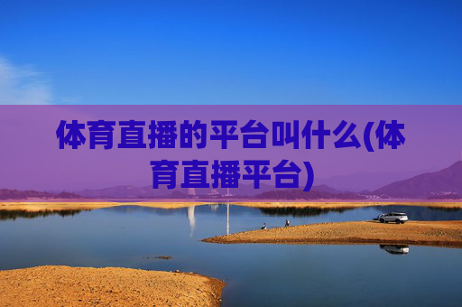 体育直播的平台叫什么(体育直播平台)