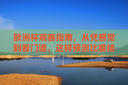 欧洲杯观赛指南，从凭感觉到看门道，这样预测比赛结果更有趣，欧洲杯观赛，从凭感觉看门道，预测更有趣