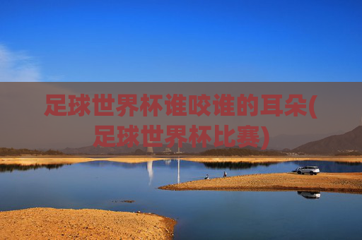 足球世界杯谁咬谁的耳朵(足球世界杯比赛)