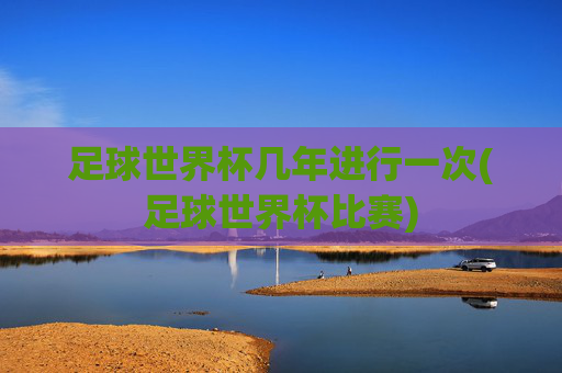 足球世界杯几年进行一次(足球世界杯比赛)