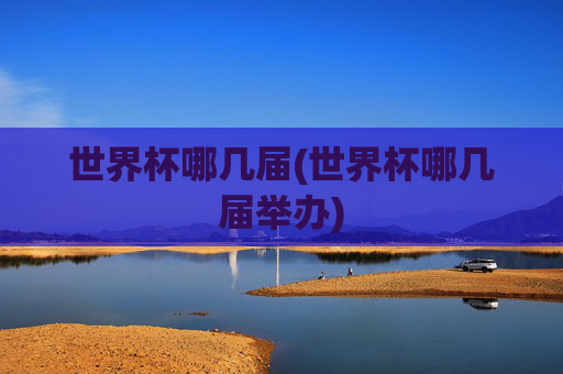 世界杯哪几届(世界杯哪几届举办)
