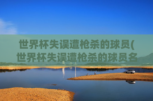 世界杯失误遭枪杀的球员(世界杯失误遭枪杀的球员名单)