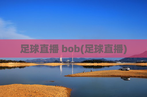 足球直播 bob(足球直播)