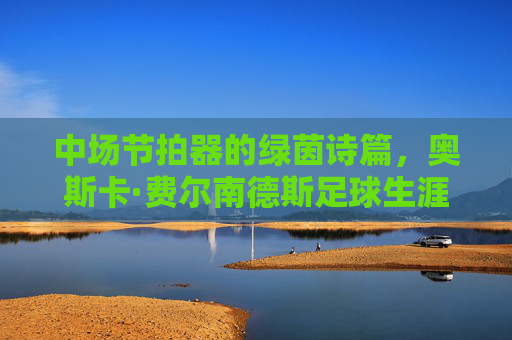 中场节拍器的绿茵诗篇，奥斯卡·费尔南德斯足球生涯全纪录，中场节拍器奥斯卡·费尔南德斯，绿茵诗篇全纪录