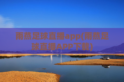 雨燕足球直播app(雨燕足球直播APP下载)