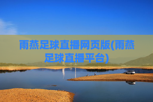雨燕足球直播网页版(雨燕足球直播平台)