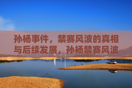 孙杨事件,禁赛风波的真相与后续发展,孙杨禁赛风波,真相与后续发展