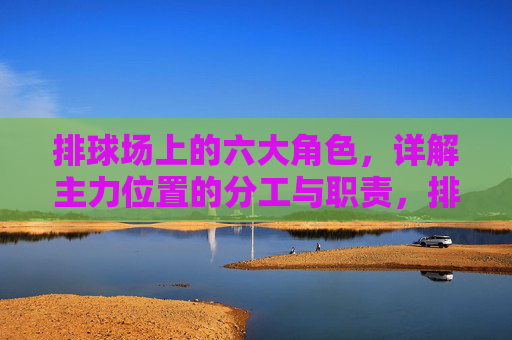 排球场上的六大角色，详解主力位置的分工与职责，排球场六大角色，主力位置分工与职责