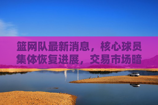 篮网队最新消息,核心球员集体恢复进展,交易市场暗流涌动