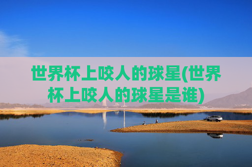 世界杯上咬人的球星(世界杯上咬人的球星是谁)
