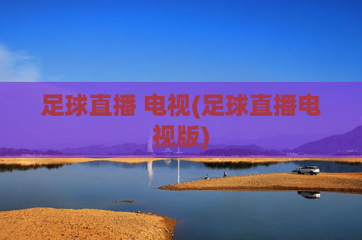 足球直播 电视(足球直播电视版)