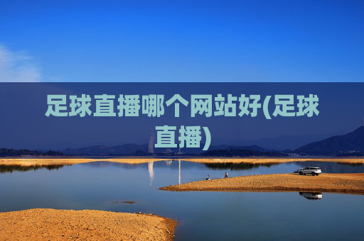 足球直播哪个网站好(足球直播)