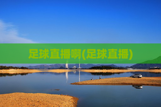 足球直播啊(足球直播)