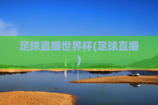 足球直播世界杯(足球直播)
