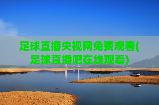 足球直播央视网免费观看(足球直播吧在线观看)