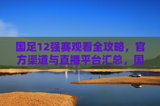 国足12强赛观看全攻略，官方渠道与直播平台汇总，国足12强赛观看全攻略，官方渠道与直播平台汇总