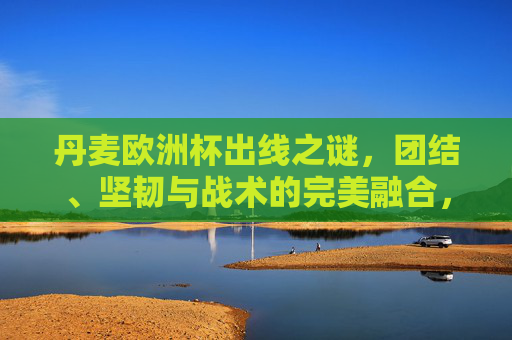 丹麦欧洲杯出线之谜，团结、坚韧与战术的完美融合，丹麦欧洲杯出线，团结坚韧与战术的完美融合