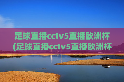 足球直播cctv5直播欧洲杯(足球直播cctv5直播欧洲杯比赛)