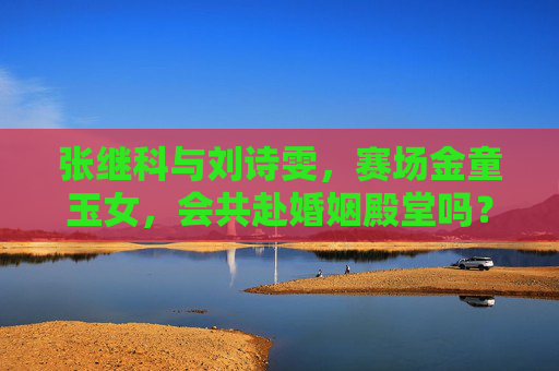 张继科与刘诗雯，赛场金童玉女，会共赴婚姻殿堂吗？张继科刘诗雯，赛场金童玉女，会共赴婚姻殿堂吗？