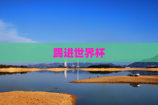 踢进世界杯