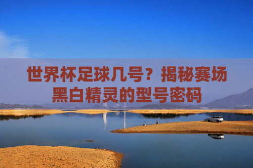 世界杯足球几号?揭秘赛场黑白精灵的型号密码