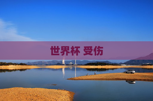 世界杯 受伤
