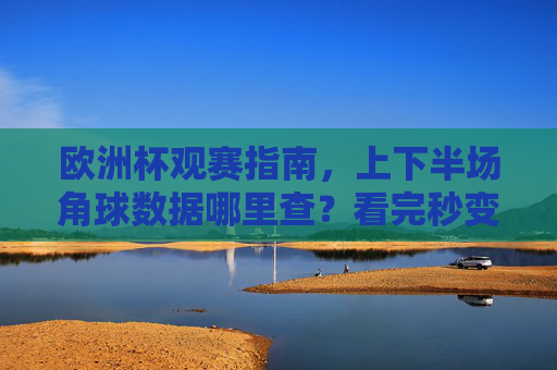 欧洲杯观赛指南，上下半场角球数据哪里查？看完秒变战术分析师，欧洲杯角球数据查询指南，上下半场数据哪里查？秒变战术分析师