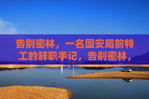 告别密林,一名国安局前特工的辞职手记,告别密林,国安局前特工辞职手记