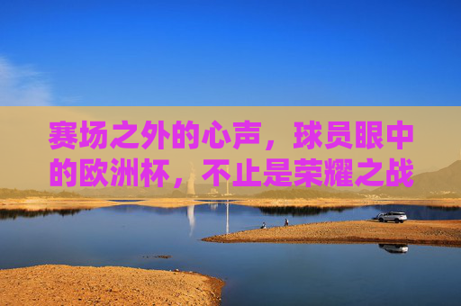 赛场之外的心声,球员眼中的欧洲杯,不止是荣耀之战,球员心声,欧洲杯不止是荣耀之战