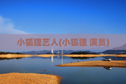 小狐狸艺人(小狐狸 演员)