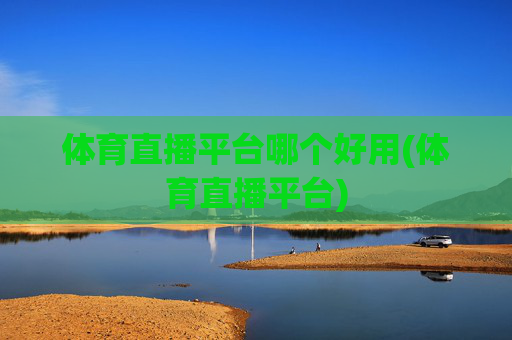 体育直播平台哪个好用(体育直播平台)