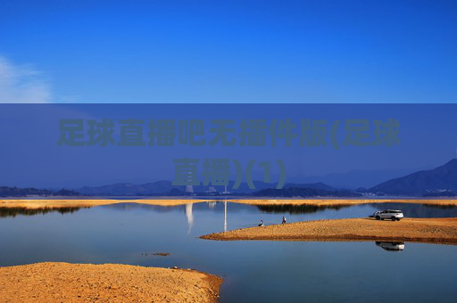 足球直播吧无插件版(足球直播)(1)