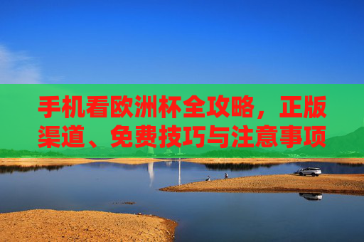 手机看欧洲杯全攻略，正版渠道、免费技巧与注意事项，手机看欧洲杯全攻略，正版渠道、免费技巧与注意事项