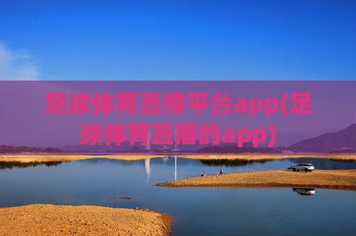 足球体育直播平台app(足球体育直播的app)